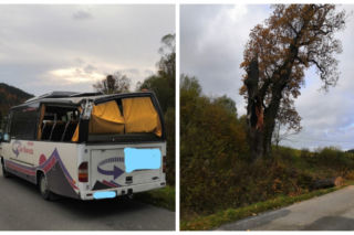 Leszczawa Dolna: na busa spadł konar drzewa! Wiatr powalił część 500-letniego dębu