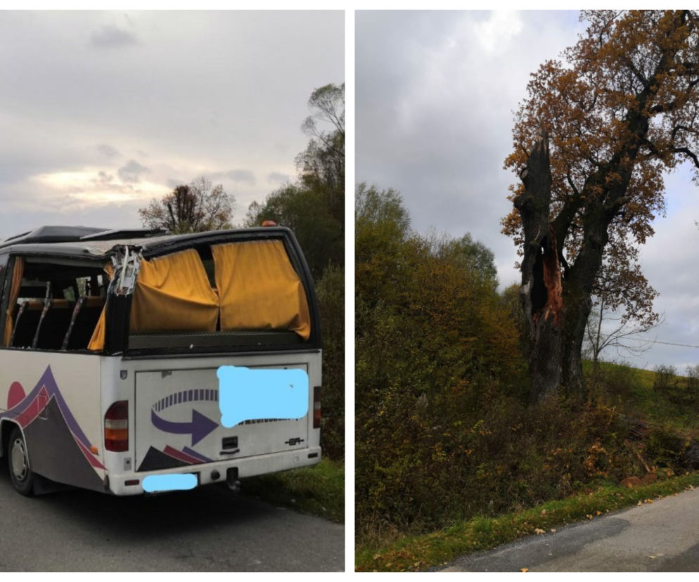 Leszczawa Dolna: na busa spadł konar drzewa! Wiatr powalił część 500-letniego dębu