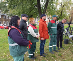 Na Polu Nadziei znów posadzono żonkile