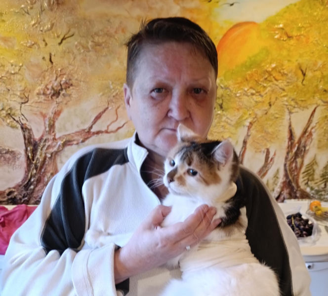 Watahy zdziczałych psów atakują wieś! "Rozrywają koty, rzuciły się na dziecko!