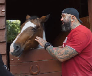 Marcin Różalski ratuje konie