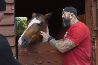 Marcin Różalski ratuje konie