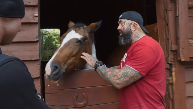 Marcin Różalski ratuje konie