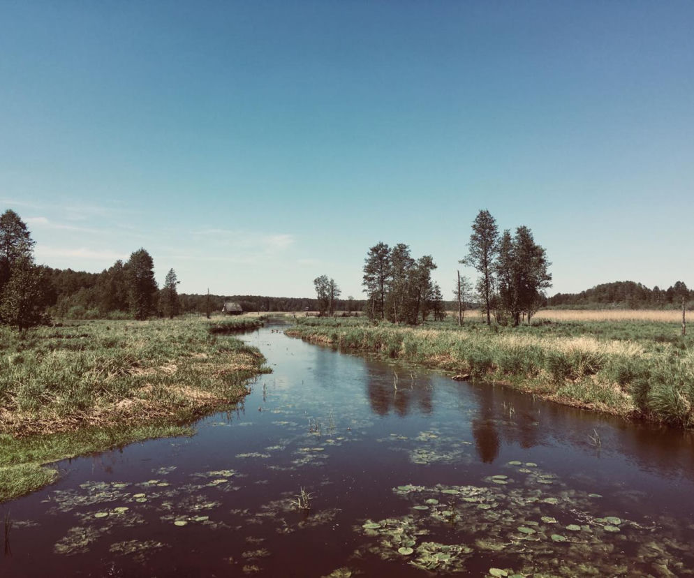Podlasie