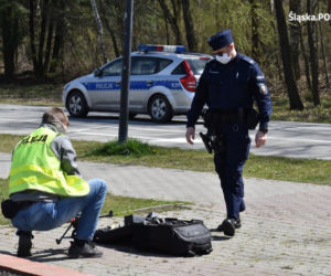 Parki w Śląskiem otwarte! Nad głowami mieszkańców będą latać drony