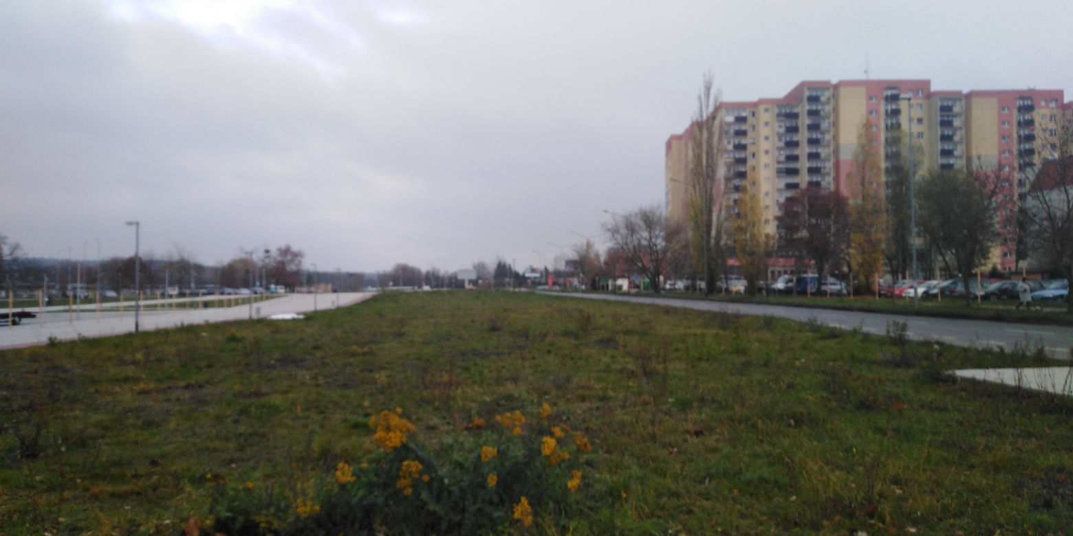 Ulica Szafera w przeddzień rozpoczęcia przebudowy