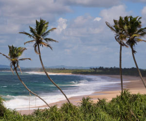 Królowa Przetrwania 3, odcinek 5