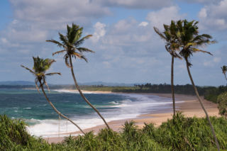 Królowa Przetrwania 3, odcinek 5