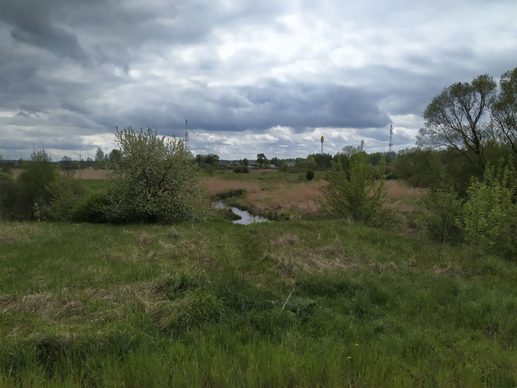 Sprzątanie mostu kolejowego nad rzeką Muchawką - 15.05.2021