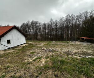 Zabrali dzieciom psa jak rzecz