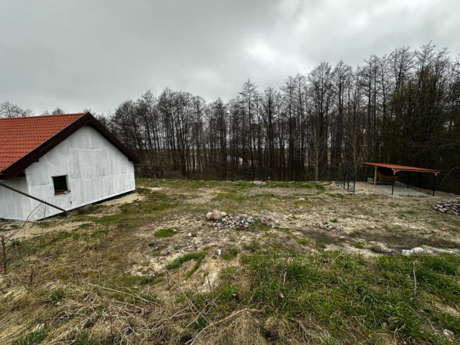 Zabrali dzieciom psa jak rzecz