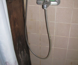 Zdjęcie 7458