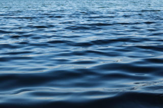 Audi w Jeziorze Jaśkowickim! Samochód wyciągnęli strażacy. Zaskakujące ustalenia [ZDJĘCIA]