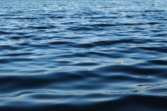 Audi w Jeziorze Jaśkowickim! Samochód wyciągnęli strażacy. Zaskakujące ustalenia [ZDJĘCIA]