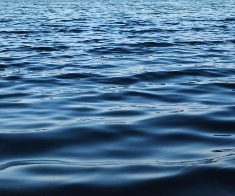 Audi w Jeziorze Jaśkowickim! Samochód wyciągnęli strażacy. Zaskakujące ustalenia [ZDJĘCIA]