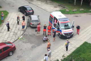 Prokuratura wszczęła śledztwo w sprawie pogryzienia przez pitbulla w Nowym Sączu