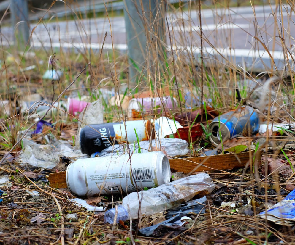Fura śmieci i zwłoki psa w Jarze Brzeźnicy w Płocku! Zwierzę rozpaczliwie walczyło o życie [ZDJĘCIA]