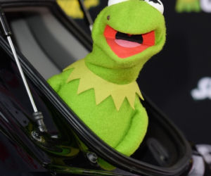 Kermit