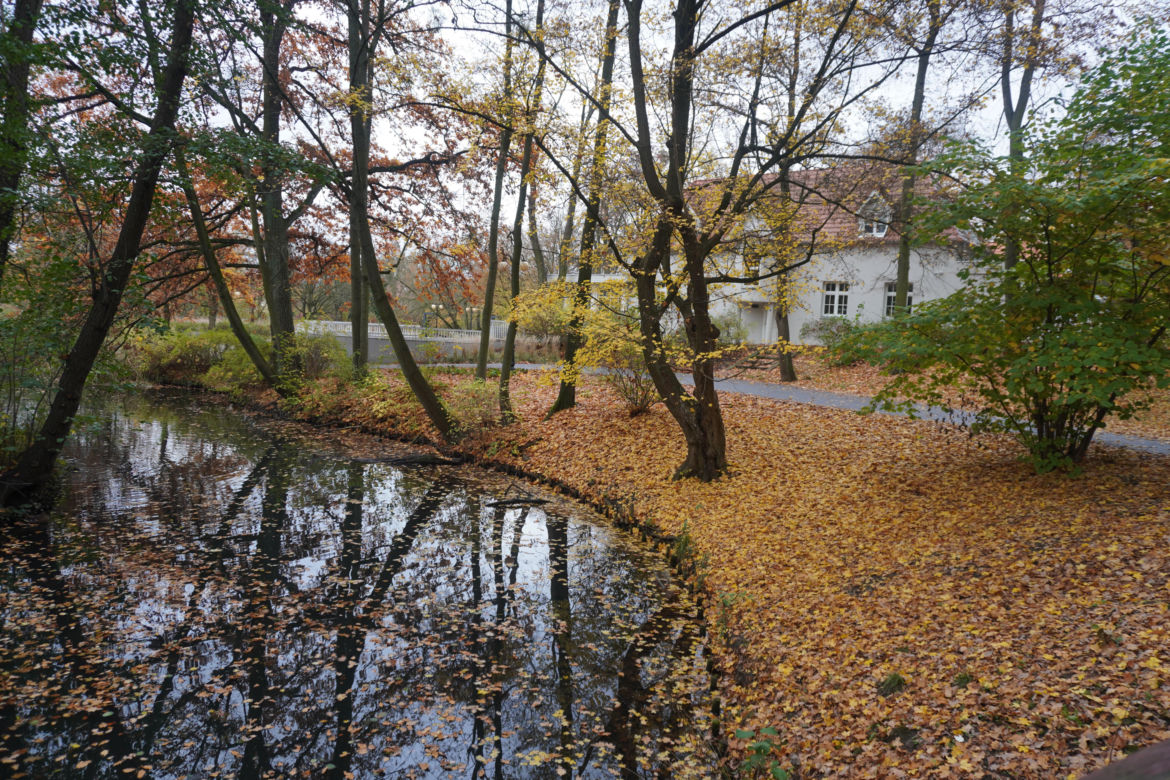 Park Sołacki w Poznaniu jesienią