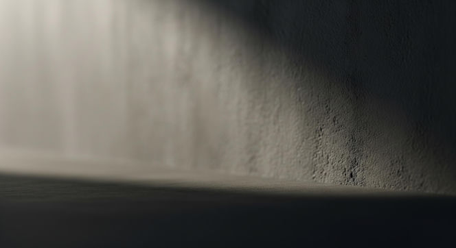 Alexandra Paul zatrzymana w Wisconsin. Czym zajmuje się gwiazda Słonecznego Patrolu dziś?