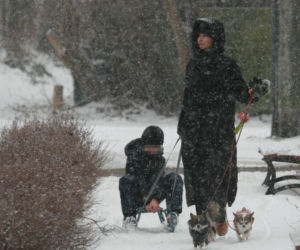 Marta Kaczyńska z synem i psami na sankach w lesie