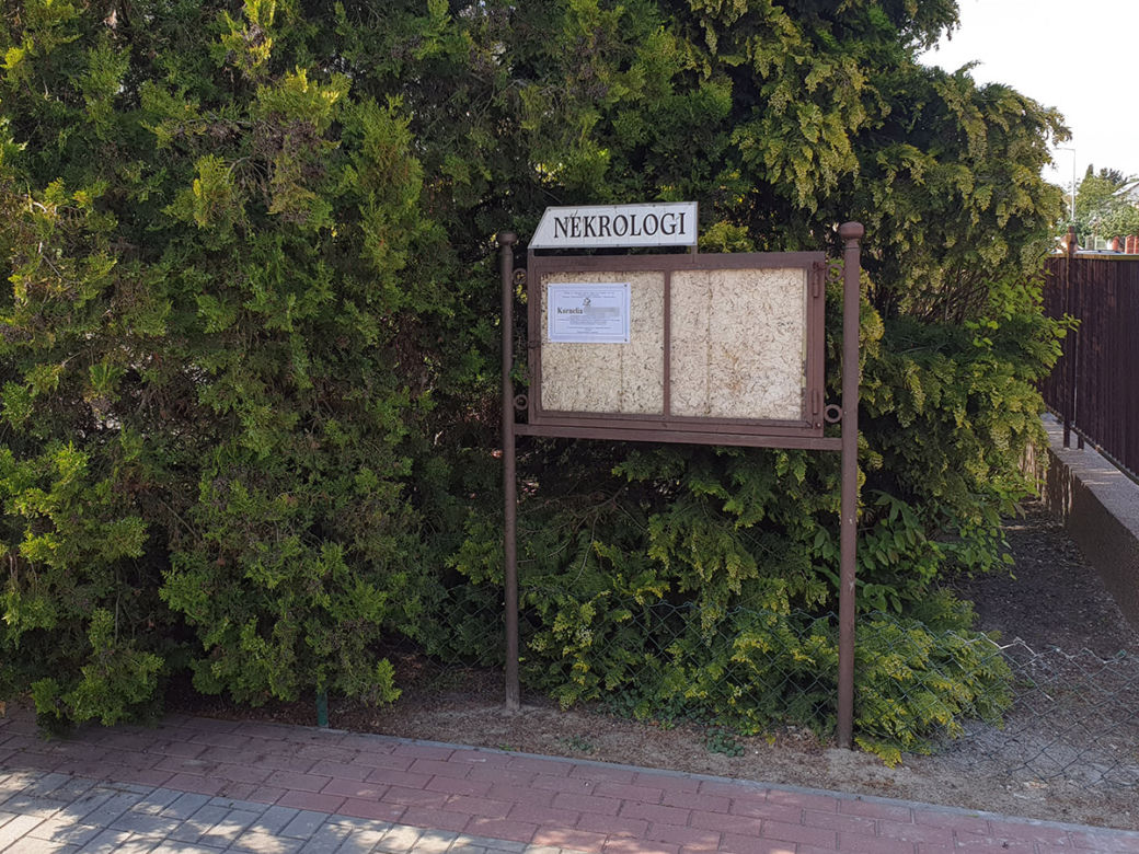 Pogrzeb zamordowanej Kronelii z Piaseczna