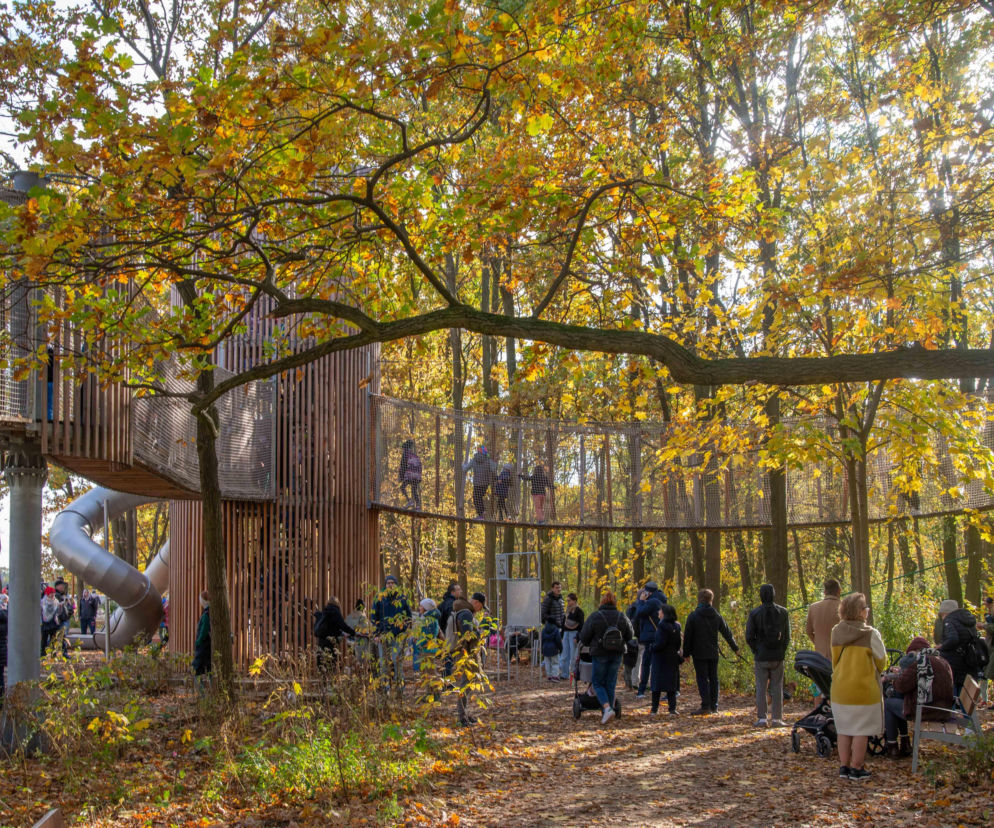 Park Żerański – park linowy
