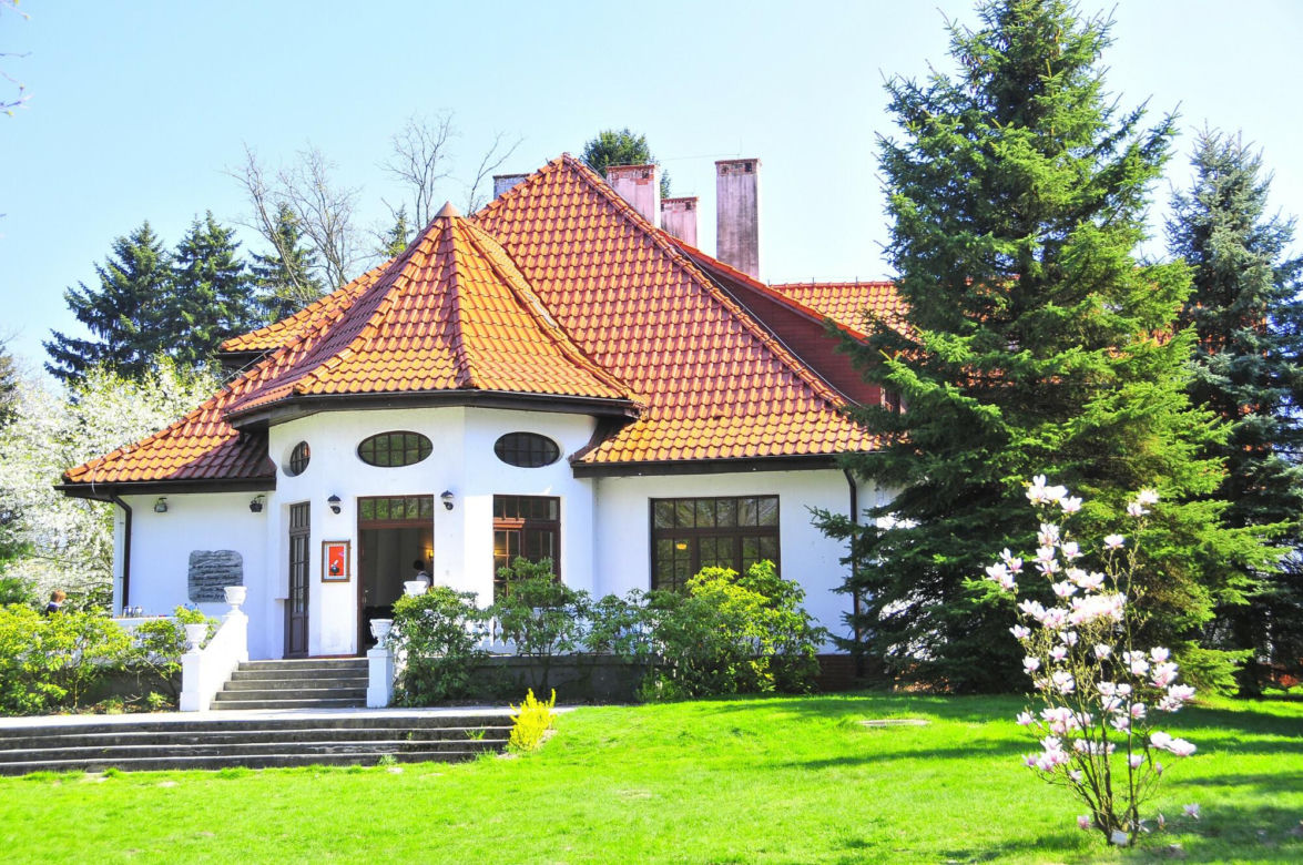 Festiwal Hanami w Powsinie. Celebruj wiosnę w japońskim stylu 