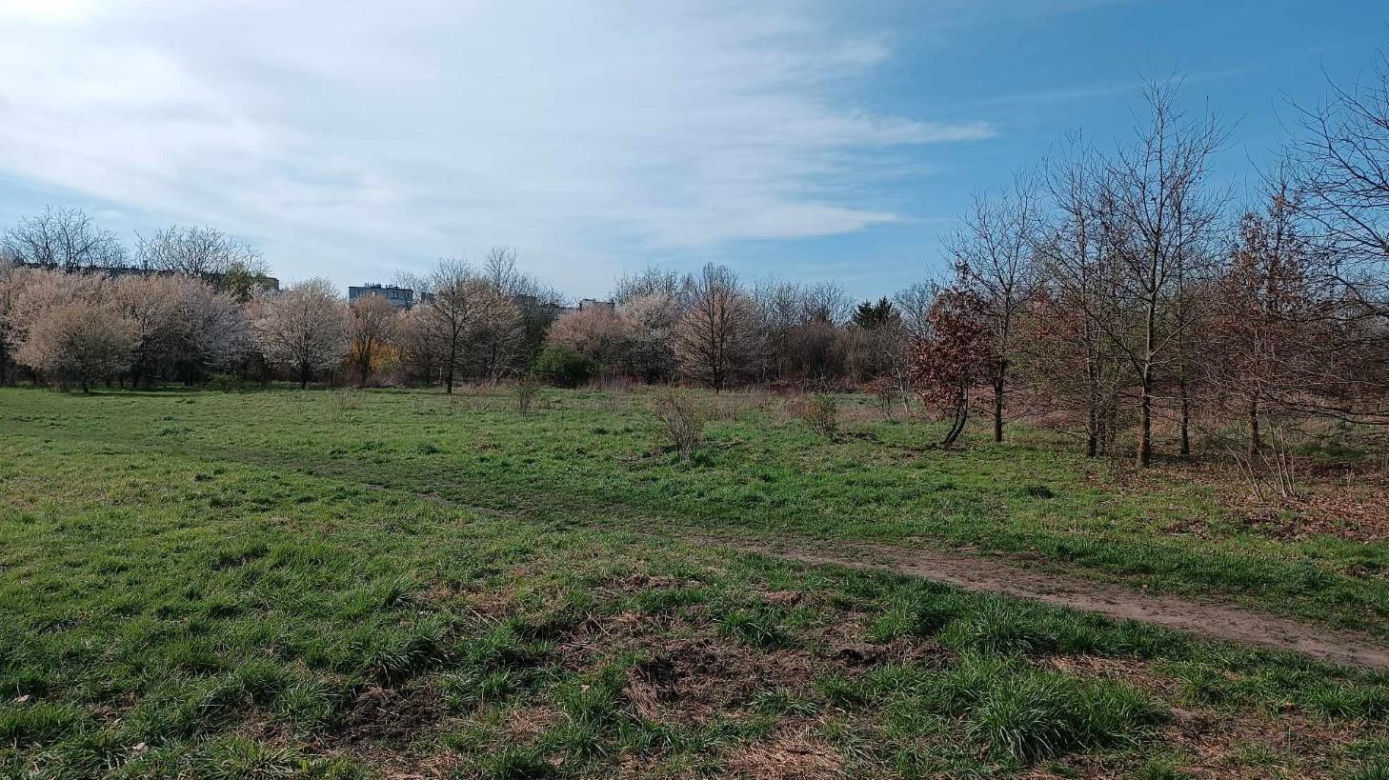 Miasto chwali się Parkiem Krzyckim. Na hucznym otwarciu mieszkańcy zastali plac budowy 