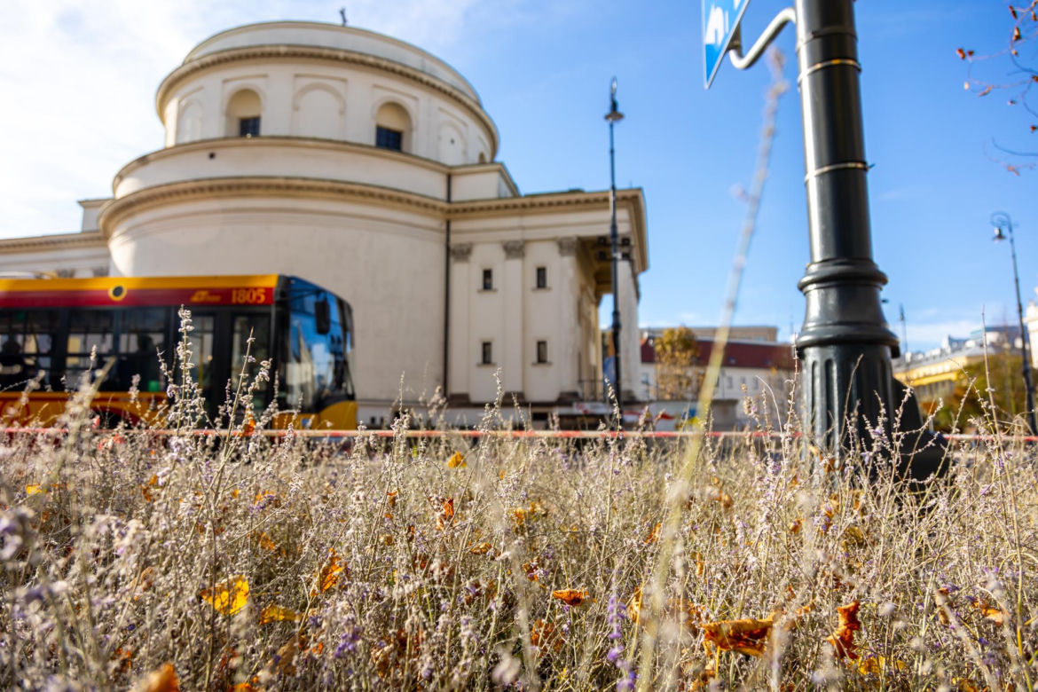 Zmodernizowany Plac Trzech Krzyży