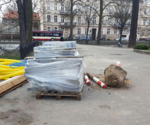 Zmiany w Parku Kościuszki w Lesznie