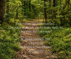 Agnieszka Hyży