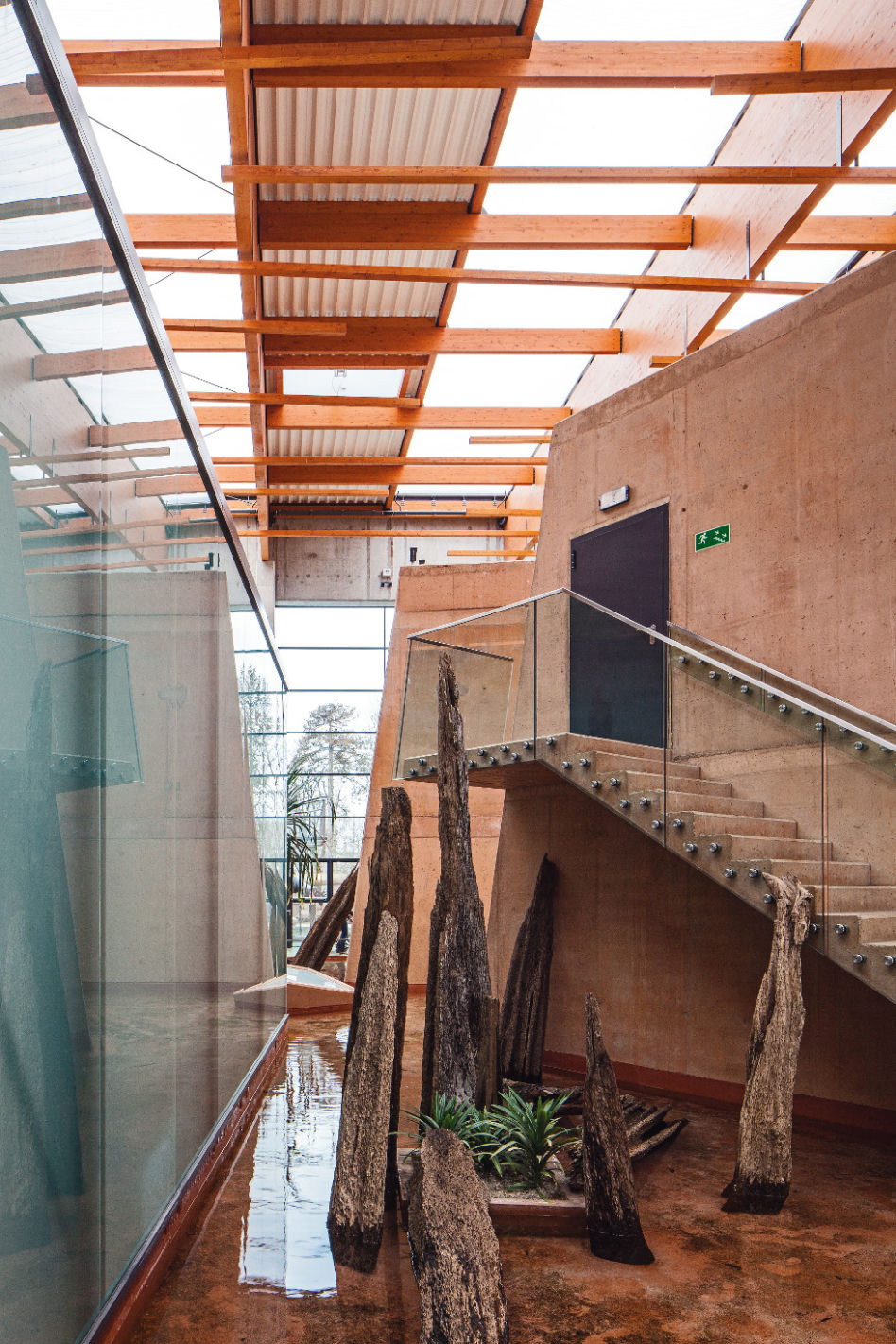 Afrykarium we Wrocławiu 