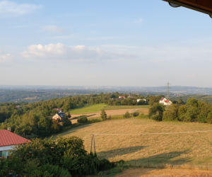 Wieża widokowa w Dąbrówce Szczepanowskiej