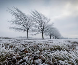 Kluczbork, 20.11.2025: Mróz uderza znienacka? Odczuwalna temperatura ZATRWOŻY MIESZKAŃCÓW!