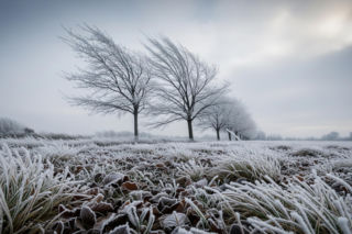Kluczbork, 20.11.2025: Mróz uderza znienacka? Odczuwalna temperatura ZATRWOŻY MIESZKAŃCÓW!