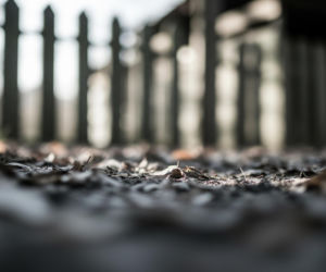 Zwłoki na Mokotowie. Kto odpowie za śmierć mężczyzny na działkach?