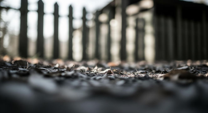 Zwłoki na Mokotowie. Kto odpowie za śmierć mężczyzny na działkach?