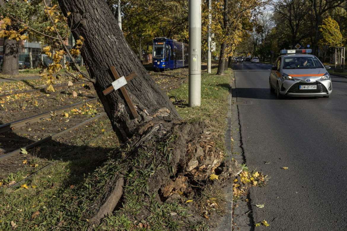 Wichury nad Polską
