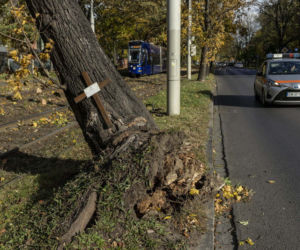 Wichury nad Polską