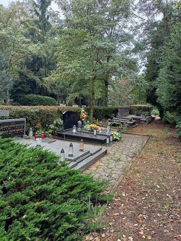Cmentarz Junikowo Poznań
