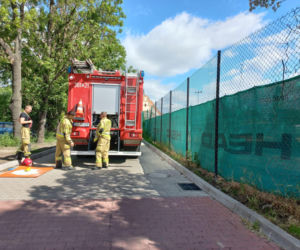 Kaczuszki wpadły do studzienki w Lesznie. Wyciągnęli je strażacy