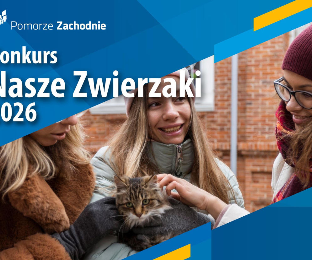 konkurs