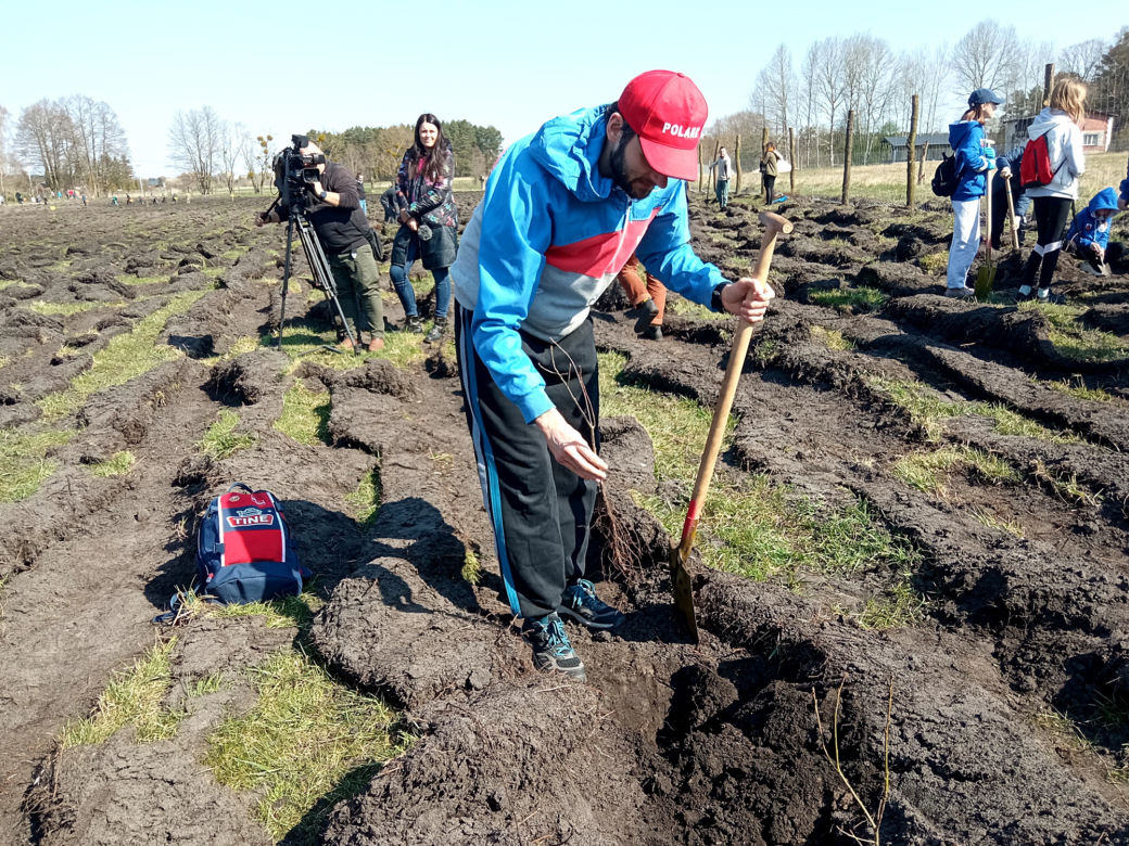 Akcja "Grudziądzanie sadzą las"!