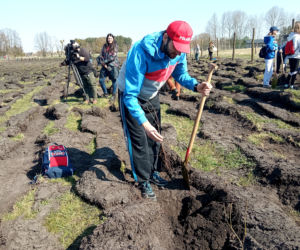 Akcja Grudziądzanie sadzą las!