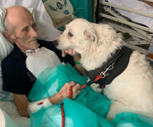 Nie widzieli się od miesięcy. Wzruszające spotkanie w szpitalu w Legnicy