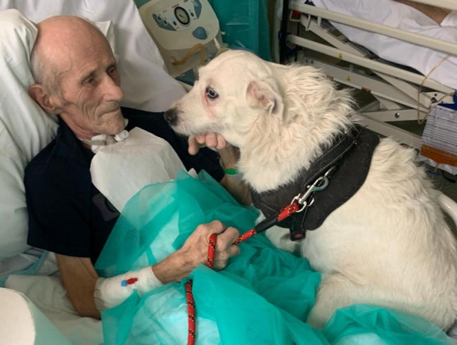 Nie widzieli się od miesięcy. Wzruszające spotkanie w szpitalu w Legnicy