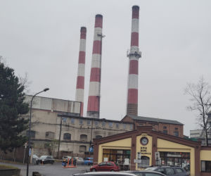 Gigantyczne kolejki po węgiel