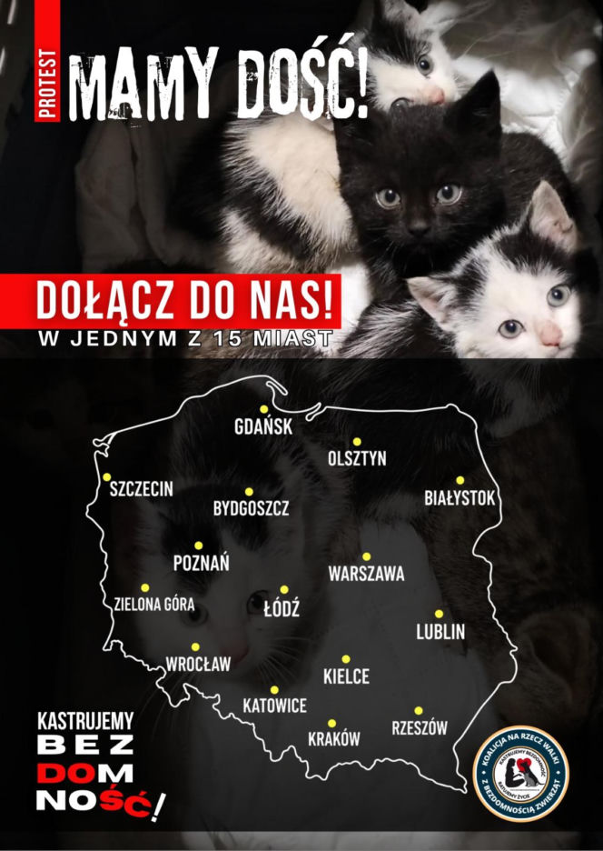 Protest Mamy dość