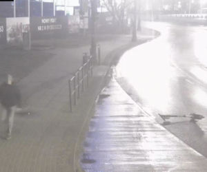 Bydgoszcz: Pokazał środkowy palec i oddał mocz na moście! Wszystko się nagrało